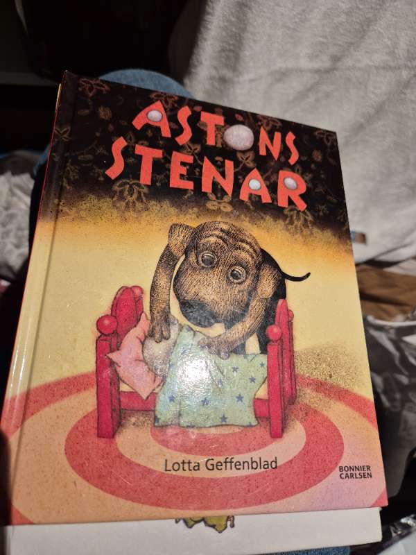 Bok Astons stenar