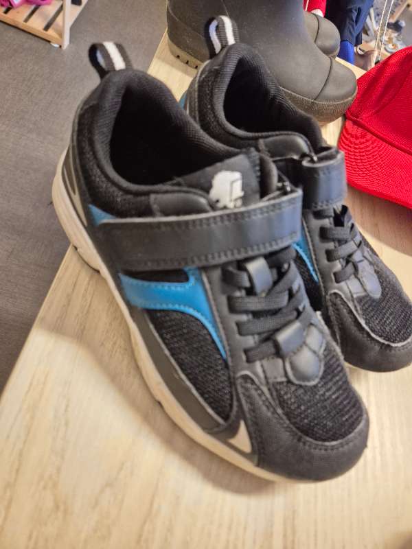 Svart blå vit sko kadborre