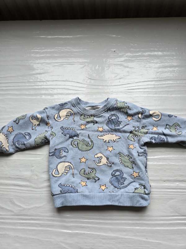 Blå sweatshirt med dinos