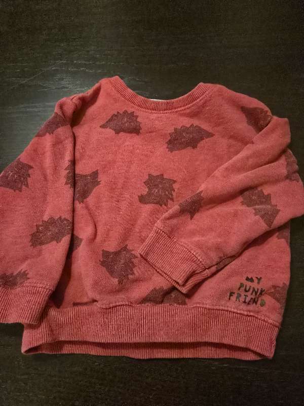 Röd sweatshirt med igelkottar