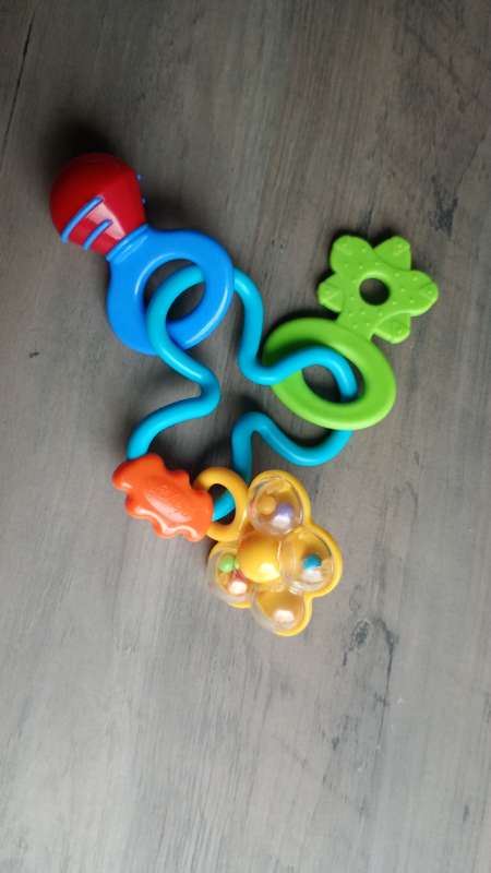 Skallra treklöver blomma