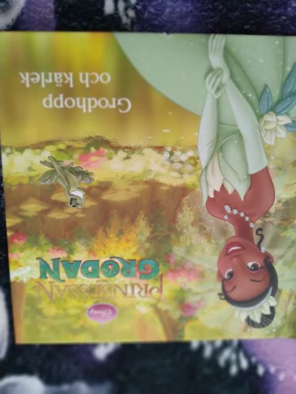 Disney bok prinsessa