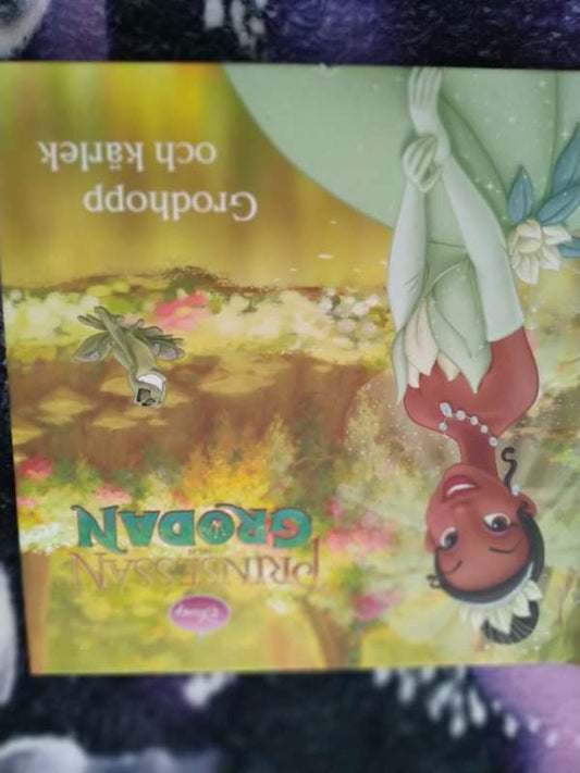 Disney bok prinsessa