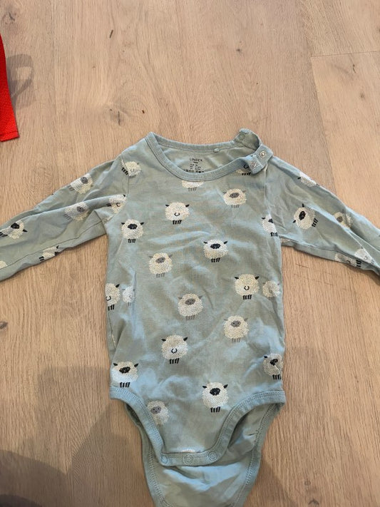 Body får
