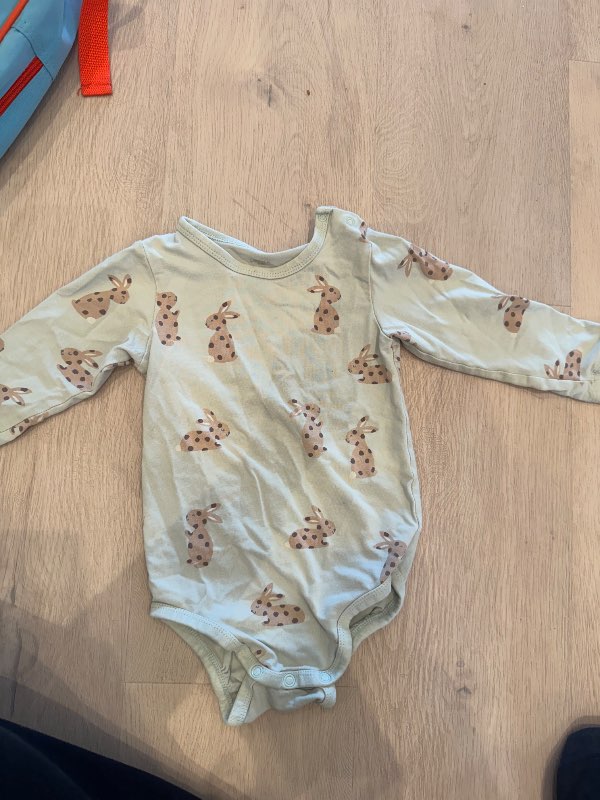 Body blå kaniner