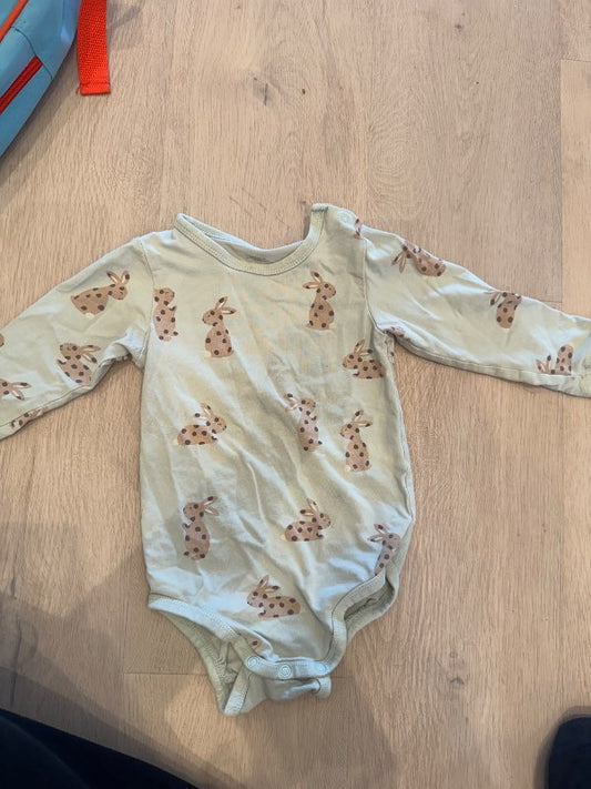 Body blå kaniner