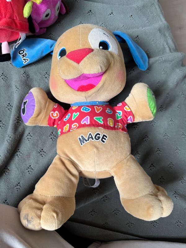 Hund obs fläck tass