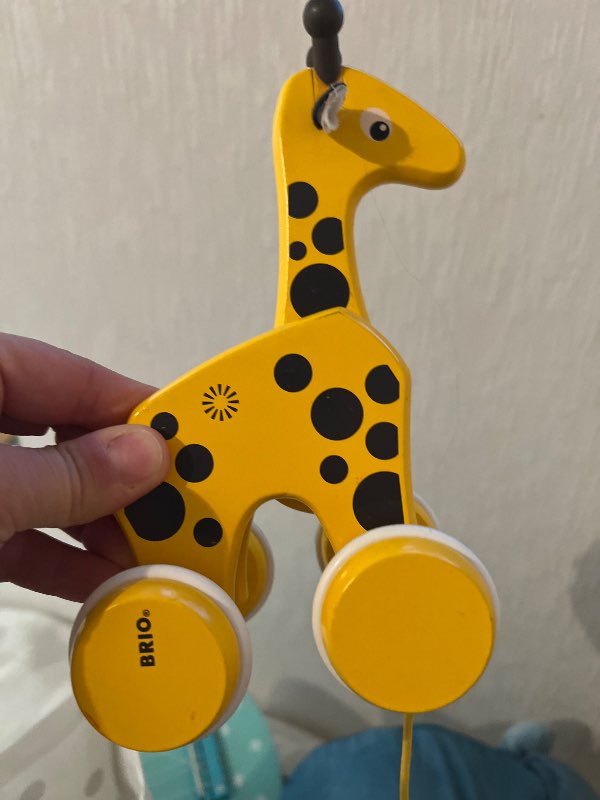 Giraff