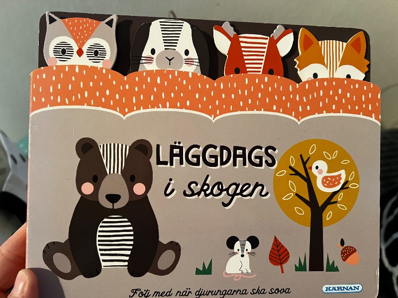 Läggdags i skogen