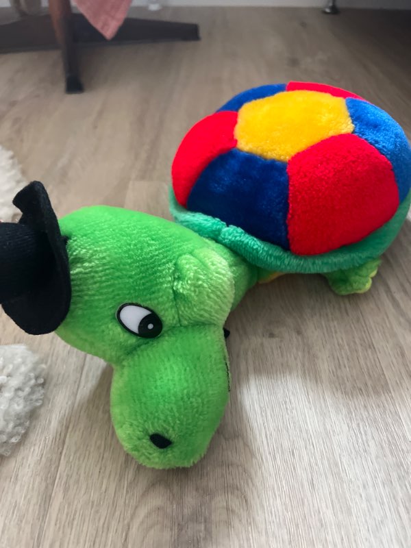 Sköldpadda