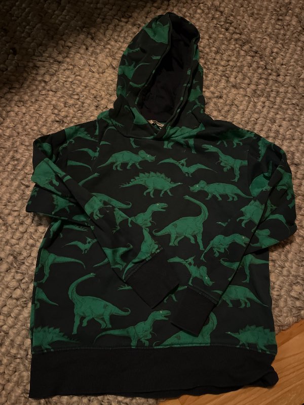 Hoodie dinosaurie